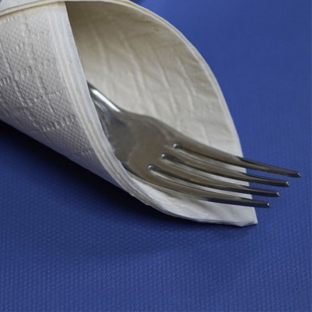 Mantel Individual 30 x 40 cm Azul (250 Uds)