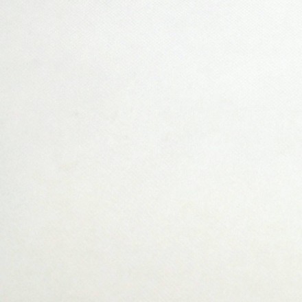 MANTEL POLIPROPILENO 120x160 BLANCO (200 uds) 
