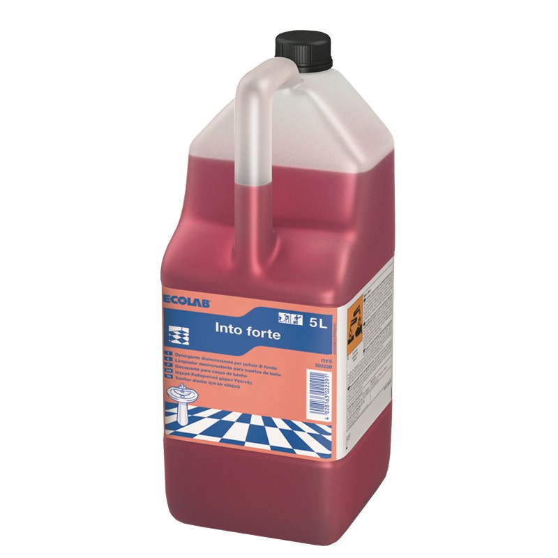 Into Forte (5L) Into Forte (5L)