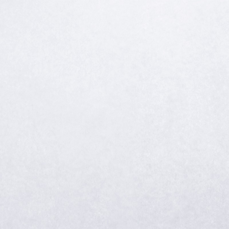 Papel Antigrasa Blanco 31x42 cm 40 g (1000 uds)