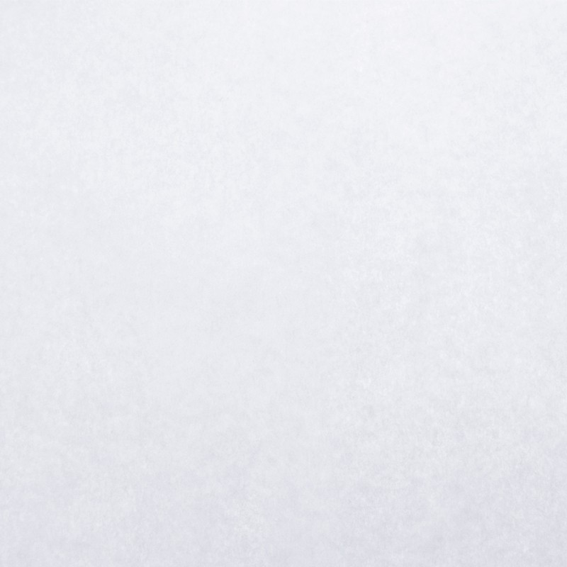 Papel Antigrasa Blanco 31x42 cm 40 g (1000 uds)
